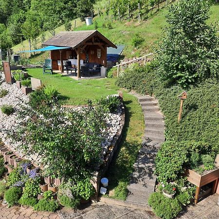 Chambres D'Hotes "Au Val Sejour" Alsace Saint-Martin  Buitenkant foto