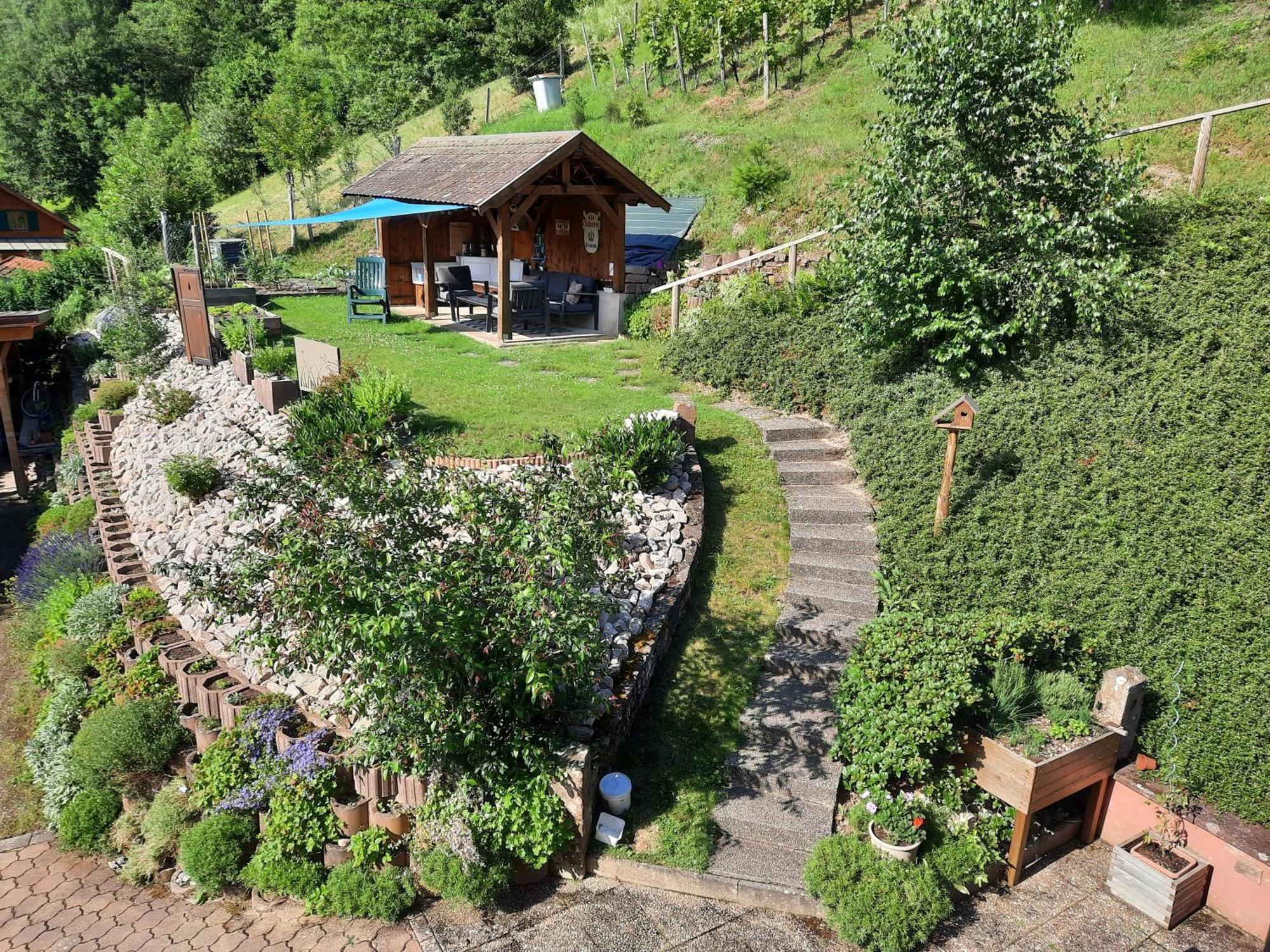 Chambres D'Hotes "Au Val Sejour" Alsace Saint-Martin  Buitenkant foto