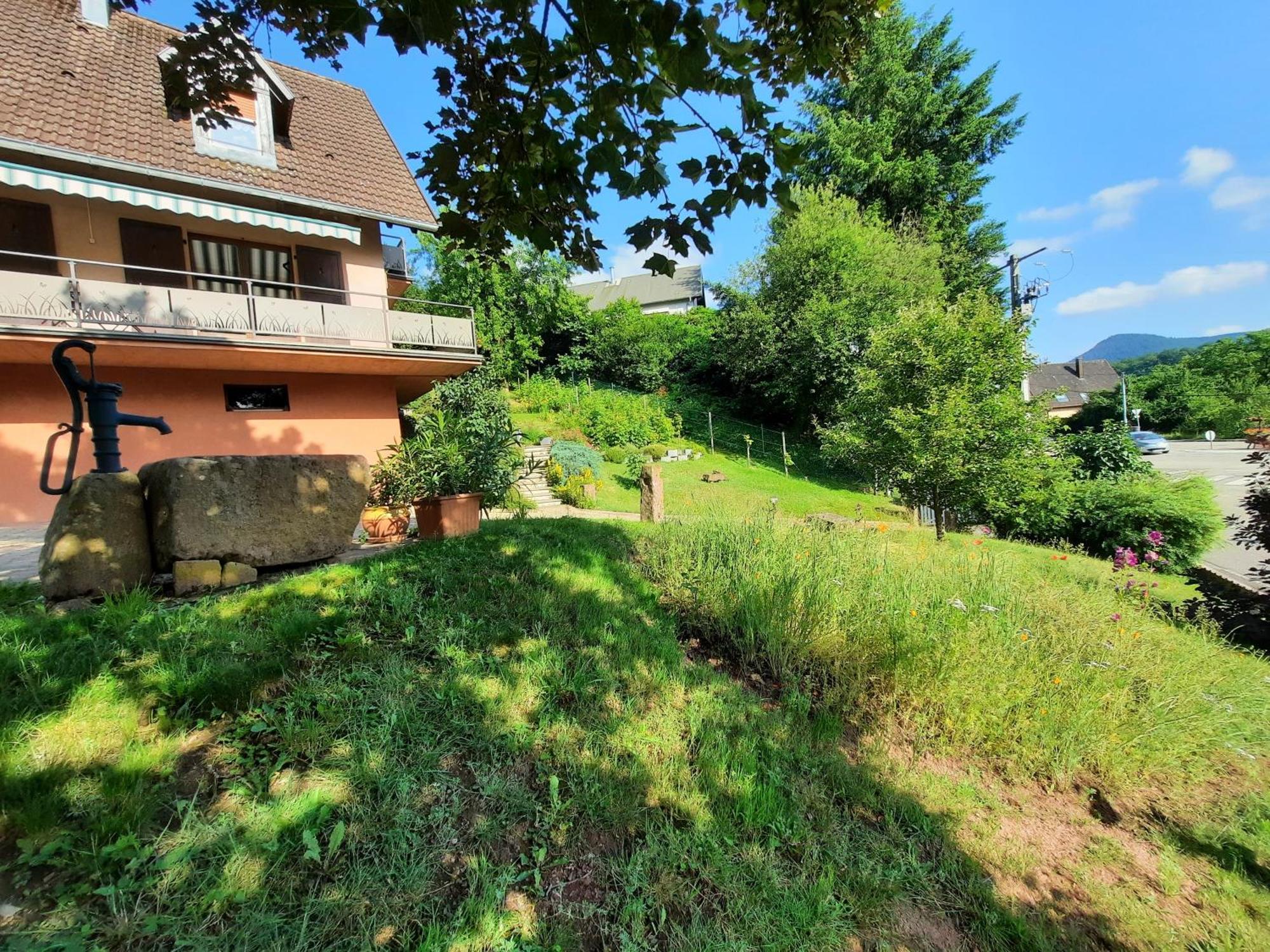 Chambres D'Hotes "Au Val Sejour" Alsace Saint-Martin  Buitenkant foto