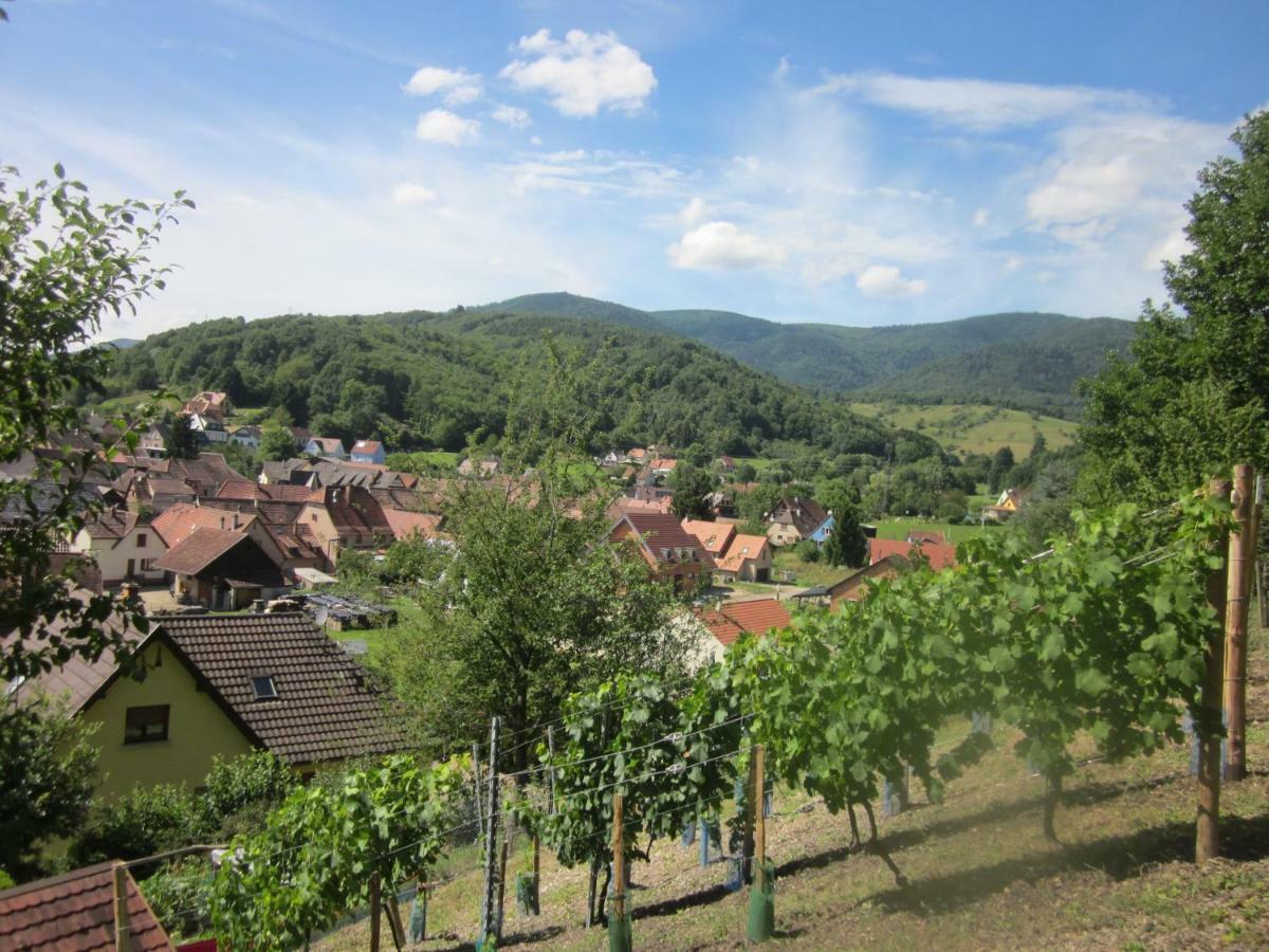 Chambres D'Hotes "Au Val Sejour" Alsace Saint-Martin  Buitenkant foto